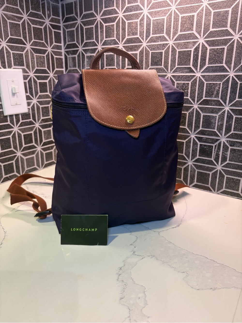 Longchamp Purple Backpack with Brown Leather Trim